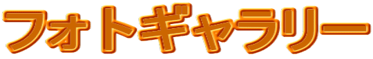 tHgM[